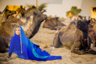 Girl with camels at the Pushkar Camel Fair, Pushkar, Rajasthan, India