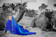 Girl with camels at the Pushkar Camel Fair, Pushkar, Rajasthan, India