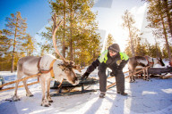 Reindeer Safari, Kakslauttanen Igloo Village, Saariselka, Finland