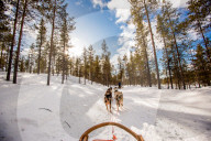Husky Dogsledding Safari, Kakslauttanen Igloo Village, Saariselka, Finland