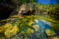 Couple snorkels in the cenotes of Chiken-ha, Tulum, Mexico, North America