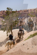 Horseback riding through Bryce Canyon National Park Utah, USA.
