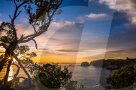 Sunrise along the rugged, lush Coromandel Peninsula on the eastern side of North Island, Waikato, New Zealand, Pacific