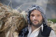 An Afghan man from the Panjshir valley holds a freshly harvested bundle of wheat