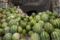 A boy in a market in Herat rests on a giant pile of Water Melons in Afghanistan