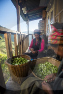 A Tamang woman peals little squashes in a small village called Briddim in the Langtang region of Nepal