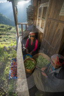A Tamang woman peals little squashes in a small village called Briddim in the Langtang region of Nepal