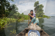 A fisherman on Kaptai lake in the Chittagong Hill Tracts in Bangladesh