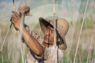 A man prepares trellising in China