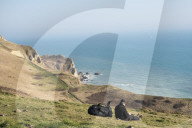 A man takes a break from a coastal walk near Lulworth Cove in Dorset
