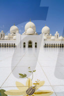 Sheikh Zayed Grand Mosque, Abu Dhabi, United Arab Emirates, Middle East