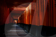 Torii tunnel, Fushimi-inari shrine
