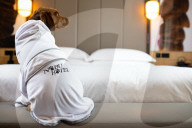 FEATURE - Nobu Hotel in London kleidet Hunde der Gäste in feinste Plüschmäntel