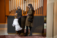 FEATURE - Nobu Hotel in London kleidet Hunde der Gäste in feinste Plüschmäntel