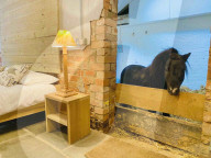 FEATURE - Skurriles Airbnb: Übernachtung mit einem Miniaturpferd namens Basil inbegriffen
