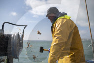 Brexit: Anger over government's failure to get Norway fishing deal