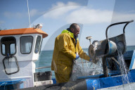 Brexit: Anger over government's failure to get Norway fishing deal