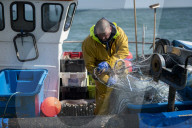 Brexit: Anger over government's failure to get Norway fishing deal