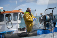 Brexit: Anger over government's failure to get Norway fishing deal