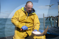 Brexit: Anger over government's failure to get Norway fishing deal