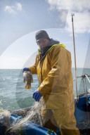 Brexit: Anger over government's failure to get Norway fishing deal