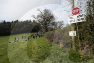 Activists fight to save 550-year-old oak threatened by new Shrewsbury road. Objectors say relief road contradicts council’s net zero target and will damage local wildlife sites
