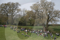Activists fight to save 550-year-old oak threatened by new Shrewsbury road. Objectors say relief road contradicts council’s net zero target and will damage local wildlife sites