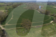 Activists fight to save 550-year-old oak threatened by new Shrewsbury road. Objectors say relief road contradicts council’s net zero target and will damage local wildlife sites