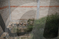 'An atmosphere of terror': the bloody rise of Mexico's top cartel . The Jalisco cartel’s violence has taken a horrific toll on the state and experts say it poses a threat to Mexico’s government