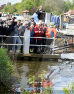 NEWS - In London haben Rettungskräfte einen etwa vier Meter langen Wal aus einer Themse-Schleuse befreit