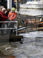 Minke whale calf stranded in River Thames is sadly put down by vets as it failed to return to the sea 90 miles away.