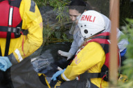 Minke whale calf stranded in River Thames is sadly put down by vets as it failed to return to the sea 90 miles away.