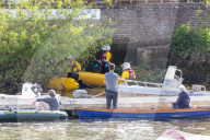 Minke whale calf stranded in River Thames is sadly put down by vets as it failed to return to the sea 90 miles away.