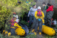 Minke whale calf stranded in River Thames is sadly put down by vets as it failed to return to the sea 90 miles away.