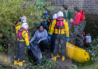 Minke whale calf stranded in River Thames is sadly put down by vets as it failed to return to the sea 90 miles away.
