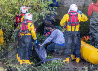 Minke whale calf stranded in River Thames is sadly put down by vets as it failed to return to the sea 90 miles away.