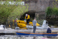 Minke whale calf stranded in River Thames is sadly put down by vets as it failed to return to the sea 90 miles away.