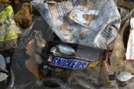 NEWS - Schockierende Bilder zeigen Plastikmüll in Fischfängen, Indien