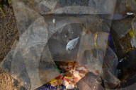 NEWS - Schockierende Bilder zeigen Plastikmüll in Fischfängen, Indien