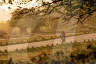 FEATURE -  Radfahrer bahnen sich bei Sonnenaufgang ihren Weg durch den Richmond Park, London