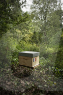 FEATURE - Imker Xavier Firmin stellt seine ersten beiden Bienenstöcke in den Gärten des Elysee-Präsidentenpalastes in Paris auf