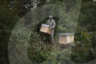 FEATURE - Imker Xavier Firmin stellt seine ersten beiden Bienenstöcke in den Gärten des Elysee-Präsidentenpalastes in Paris auf