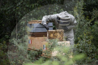 FEATURE - Imker Xavier Firmin stellt seine ersten beiden Bienenstöcke in den Gärten des Elysee-Präsidentenpalastes in Paris auf