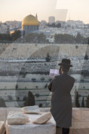Orthodox Jew praying at Mount of Olives cemetery. Jerusalem. Israel.