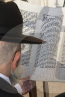 Jew reading from a Torah scroll. Western Wall. Jerusalem Old city. Israel.