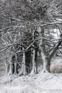 A wintry landscape on the Mynydd Epynt moorland, Powys, Wales, UK.