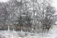 A wintry landscape on the Mynydd Epynt moorland, Powys, Wales, UK.