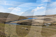 A landscape view of Elan Valley, Powys, Wales, United Kingdom, Europe