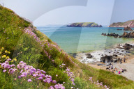 Marloes Sands, Pembrokeshire, Wales, United Kingdom, Europe
