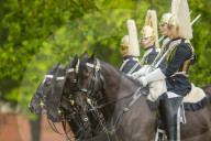 Horse Guards